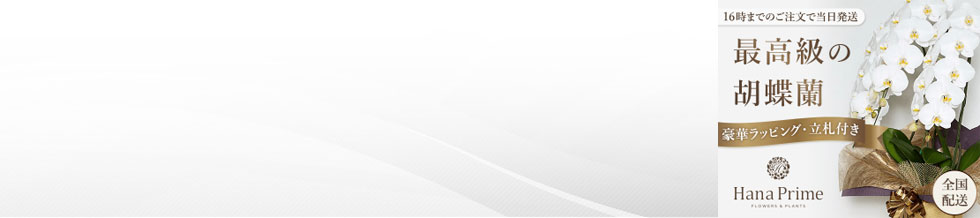 nivC ICVbvyHanaPrimez-X^hԁEӒ-